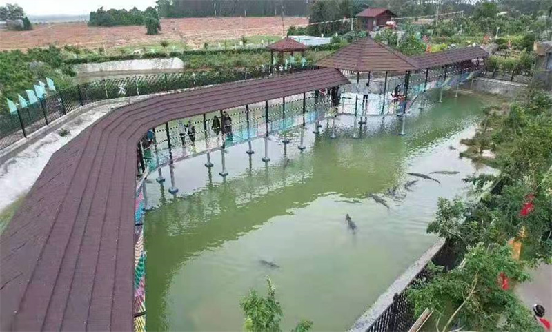 海南省東方市鱷珍鱷魚產(chǎn)業(yè)園玻璃棧道